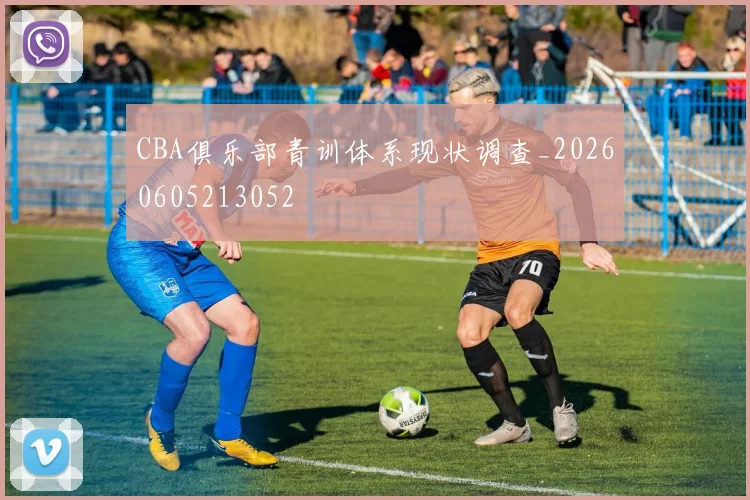 CBA俱乐部青训体系现状调查_20260605213052